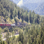 252A2958